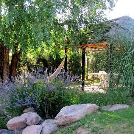 Cabanas Terrazas De Cacheuta Hotel Мендоса Екстериор снимка